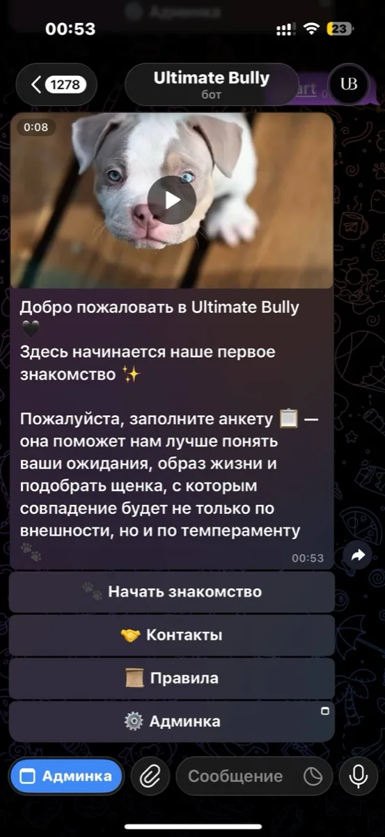 Ultimate Bully — Telegram-бот с админ-панелью Mini App